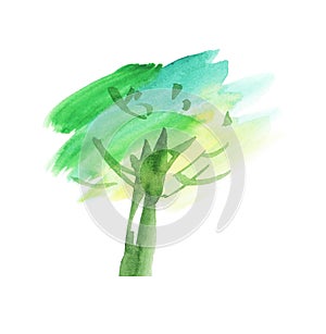 Watercolor hand drawn illustration