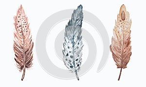 Watercolor hand drawn isolated set of feathers.