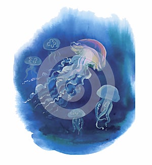 Watercolor Hand drawn jellyfish at Sea