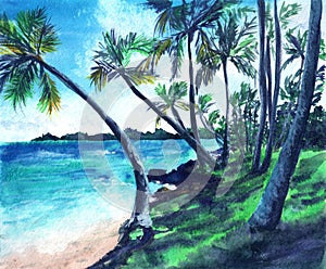 Watercolor hand drawn landscape of tropical beach. Sun, palm, wind, summer, nature, paradise.