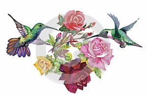 Watercolor hand drawn pattern with tropical summer flowers of and exotic birds