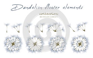 Watercolor hand-drawn rural set with vintage style illustration of natural floral elements isolated on white background