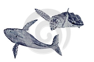 Watercolor hand-drawn sea turtle and a humpback whale isolated on white