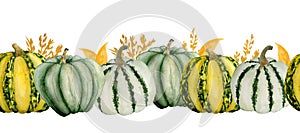 Watercolor hand drawn seamless horizontal border with green pumpkins yellow leaves, organic farmers food ingridient