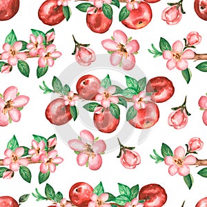 Watercolor hand drawn seamless pattern with branch of apple flowers, leaves and red apples. beauttiful modern