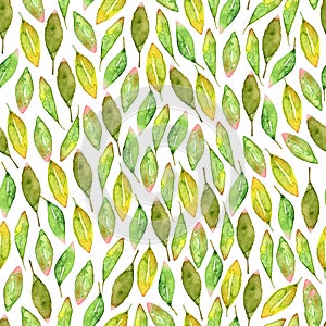 Watercolor hand drawn seamless pattern with different type of green leaves and branches.