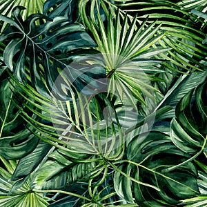 Watercolor hand drawn seamless pattern with green tropical leaves of monstera, banana tree and palm on black background