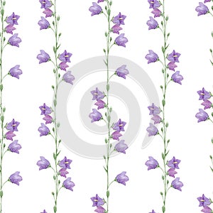 Watercolor hand drawn seamless pattern with purple meadow flowers of CamÃÂ­panula persicifolia bluebell, harebell, lady`s thimble photo