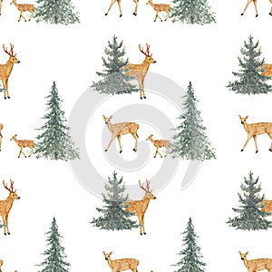 Watercolor hand drawn seamless pattern with spotted deers family in  coniferous forest isolated on white background