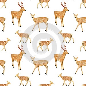 Watercolor hand drawn seamless pattern with spotted deers family isolated on white background.