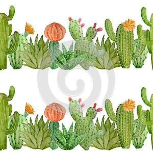 Watercolor hand drawn seamless pattern of tropical mexican cactus cacti succulents. Green natural house plants in pots