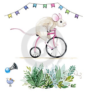 Watercolor hand drawn set with illustration of a funny mouse riding a bicycle under the flags and some party elements.