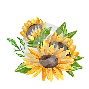 Watercolor hand-drawn sunflower composition