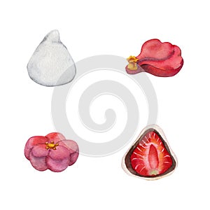 Watercolor hand drawn traditional Japanese sweets. Winter wagashi, mochi, hanabira, camellia. Isolated on white