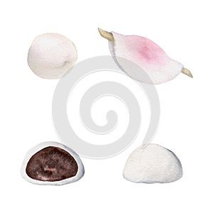 Watercolor hand drawn traditional Japanese sweets. Winter wagashi, mochi, hanabira, camellia. Isolated on white