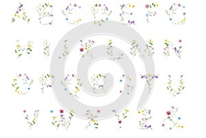 Watercolor hand drawn wild meadow flower letter alphabet bluebell, clover, chamomile, chicory, yarrow,  tansy etc. isolated on w