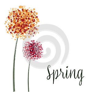 Watercolor hand drew spring tender flowers - dandelions on the white isolated vector illustration background. Perfect