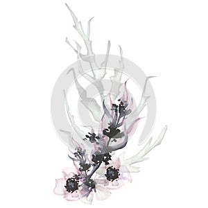 Watercolor hand painted blush pink anemones, pink leaves, dried branch bouquet. Floral arrangement on white background