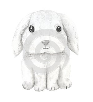 Watercolor hand painted cute baby bunny animal clipart