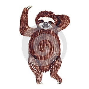 Watercolor hand painted cute sloth hanging on the tree. Cartoon little baby animal illustration in lazy style.