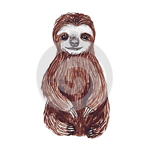 Watercolor hand painted cute sloth hanging on the tree. Cartoon little baby animal illustration in lazy style.