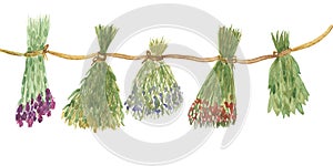 Watercolor hand painted dried clover, eucalyptus, lavender, arnica, wormwood, oregano, yarrow herb plants bouquets on the rope com