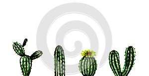 Watercolor hand painted exotic green cactus collection. Set of tropic plants. Mexican style background template