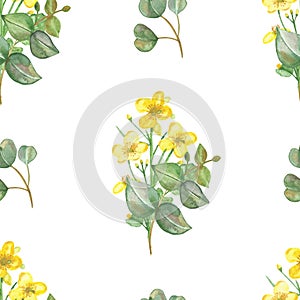 Watercolor hand painted floral herbal seamless pattern with yellow blossom celandine flowers and green eucalyptus leaves on branch