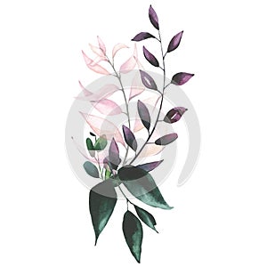 Watercolor hand painted green, pink and violet leaves bouquet. Floral arrangement on white background