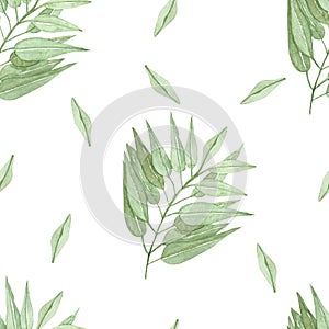 Watercolor hand painted greenery plants seamless pattern with light green eucalyptus long branches and leaves