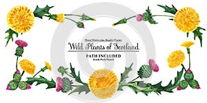 Head banner from thistle and dandelion