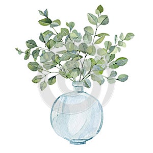 Watercolor hand painted house green plants in glass vase with branches eucalyptus. Eco natural minimalistic illustration.