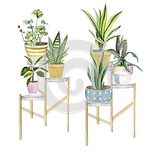 Watercolor hand painted house green plants in pots. Decorative set greenery collection. Home plants potted for greeting card