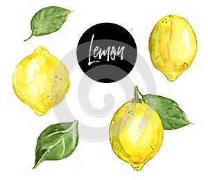 Watercolor hand painted lemon fruits, isolated on white background. Fresh ripe yellow citrus illustration. Summer healthy food