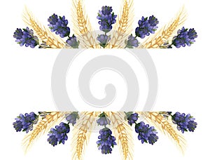 Watercolor hand painted nature banner frame with purple lavender flower branch and yellow rye ear cereals bouquet