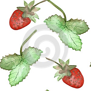 Watercolor hand painted nature berry greenery garden set with red wild strawberry on stem and green leaves collection