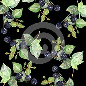 Watercolor hand painted nature berry greenery seamless pattern with green eucalyptus leaves on branch and purple blackberry bouque