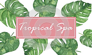 Watercolor hand painted nature bright tropical frame composition with green palm leaves and pink squared space for tropical spa te