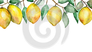 Watercolor hand painted nature citrus border banner with yellow lemon fruits