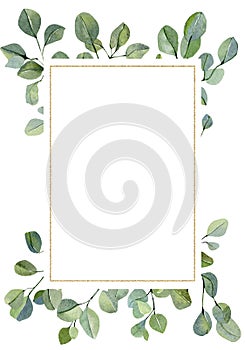 Watercolor hand painted nature eco design frame. Floral design branches and leaves silver dollar eucalyptus