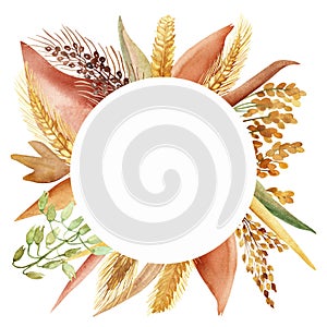 Watercolor hand painted nature field plants circle frame with yellow, green and  wheat, oats, barley, millet grain cereals composi