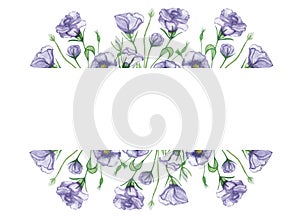 Watercolor hand painted nature floral banner frame with purple eustoma flowers on green branches composition on the white backgrou