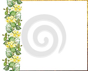 Watercolor hand painted nature floral frame with yellow lime blossom flowers and green eucalyptus branches and golden border lines