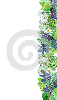 Watercolor hand painted nature floral herbal vertical line banner with purple borage plants, green leaves and white blossom chamom