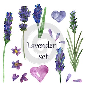Watercolor hand painted nature floral Provence set with purple lavender flowers, green leaves and branches. pink heart and lilac p