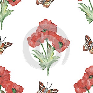 Watercolor hand painted nature floral seamless pattern with red poppy blossom flower on green branch and ornamental butterfly isol