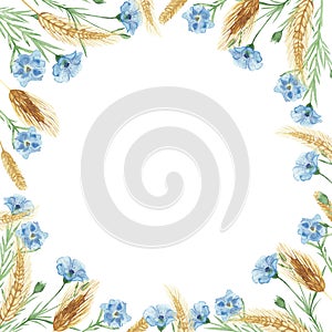 Watercolor hand painted nature floral squared border frame with blue cornflowers and yellow rye ear cereals composition on the whi