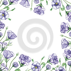 Watercolor hand painted nature floral squared border frame with purple eustoma flowers and green stems bouquet on the white backgr