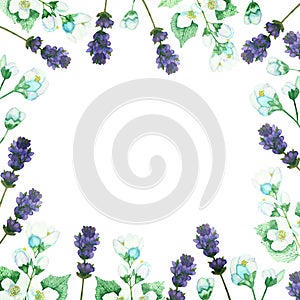 Watercolor hand painted nature floral squared border frame with purple lavender and white jasmine flowers on green branches