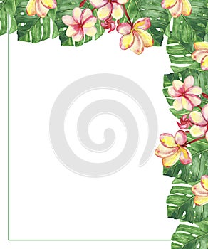 Watercolor hand painted nature floral tropical corner border frame with green palm leaves and blossom pink plumeria flowers